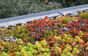 the cost of Tuckhill green roof installation