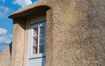 Tuckhill thatch roof disadvantages
